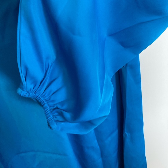 Pretty Garden, Blue V Neck Dress with button front and long puff sleeves. Size M - Picture 5 of 10